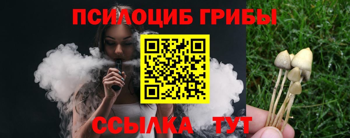 Псилоцибиновые грибы мицелий  Галлюциногенные грибы Psilocybe  Аксай  Вход с VPN 